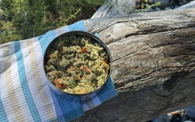 Picnic with Tofu Quinoa